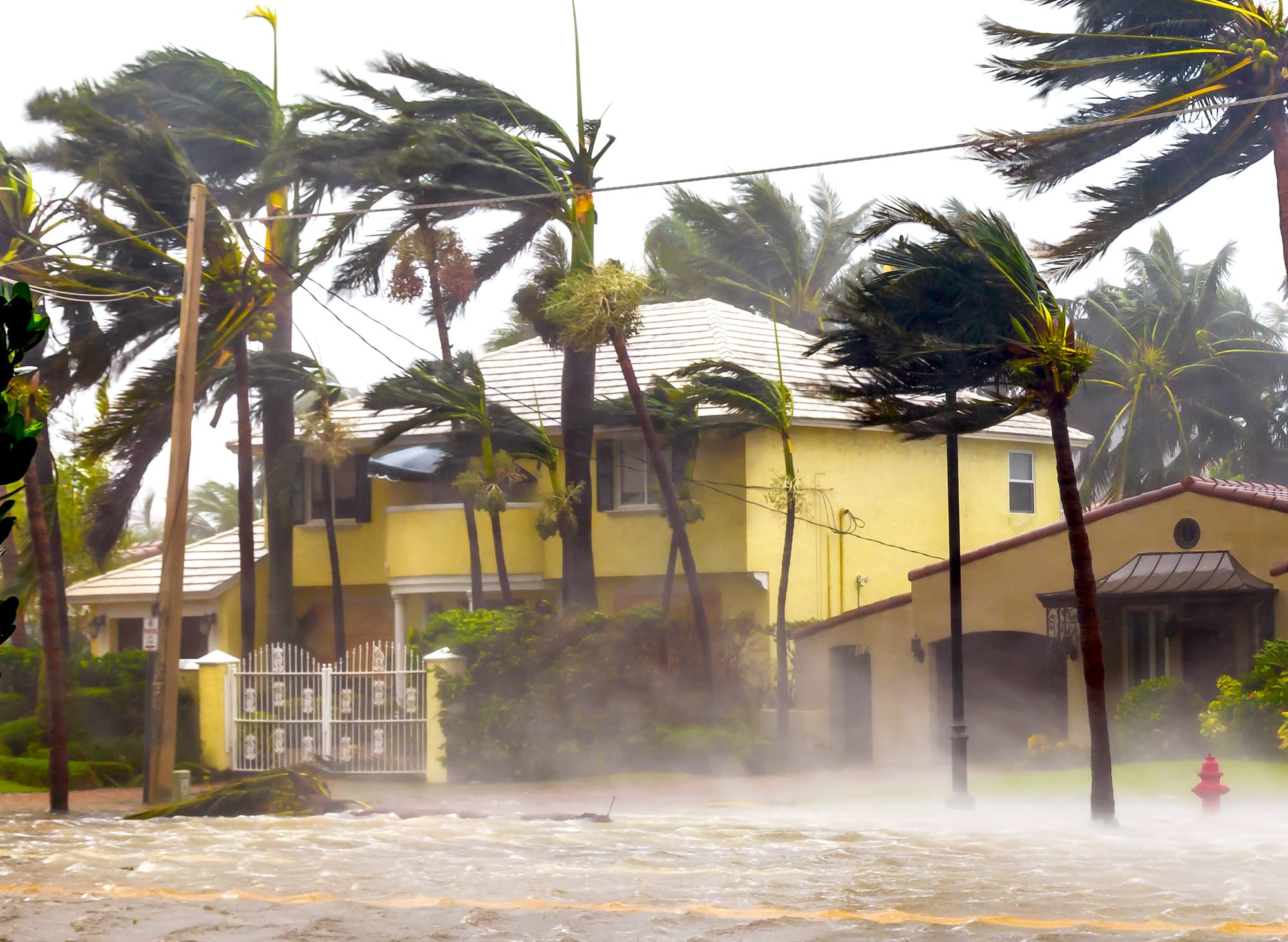 Windows and Doors Hurricane Preparedness