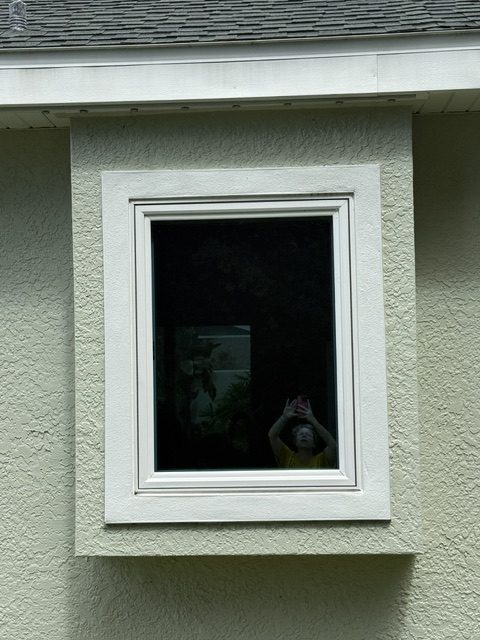 Picture impact window with white trim