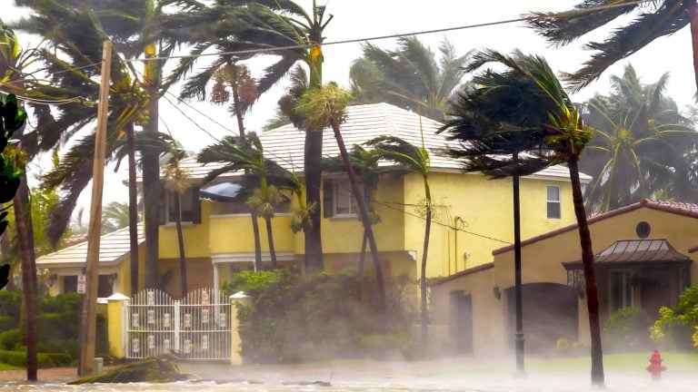 Florida homes and palm trees battered by hurricane-force wind and rain