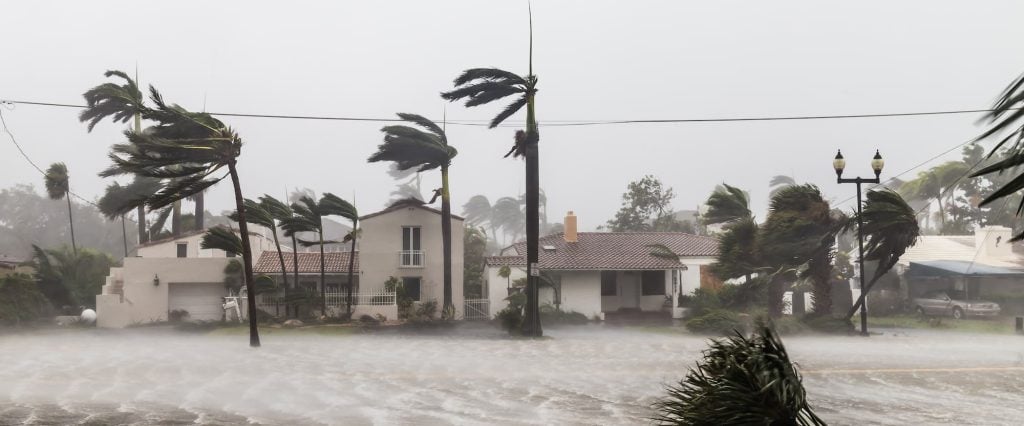Hurricane winds sweeping a Florida neighborhood