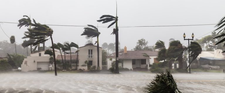 Hurricane winds sweeping a Florida neighborhood
