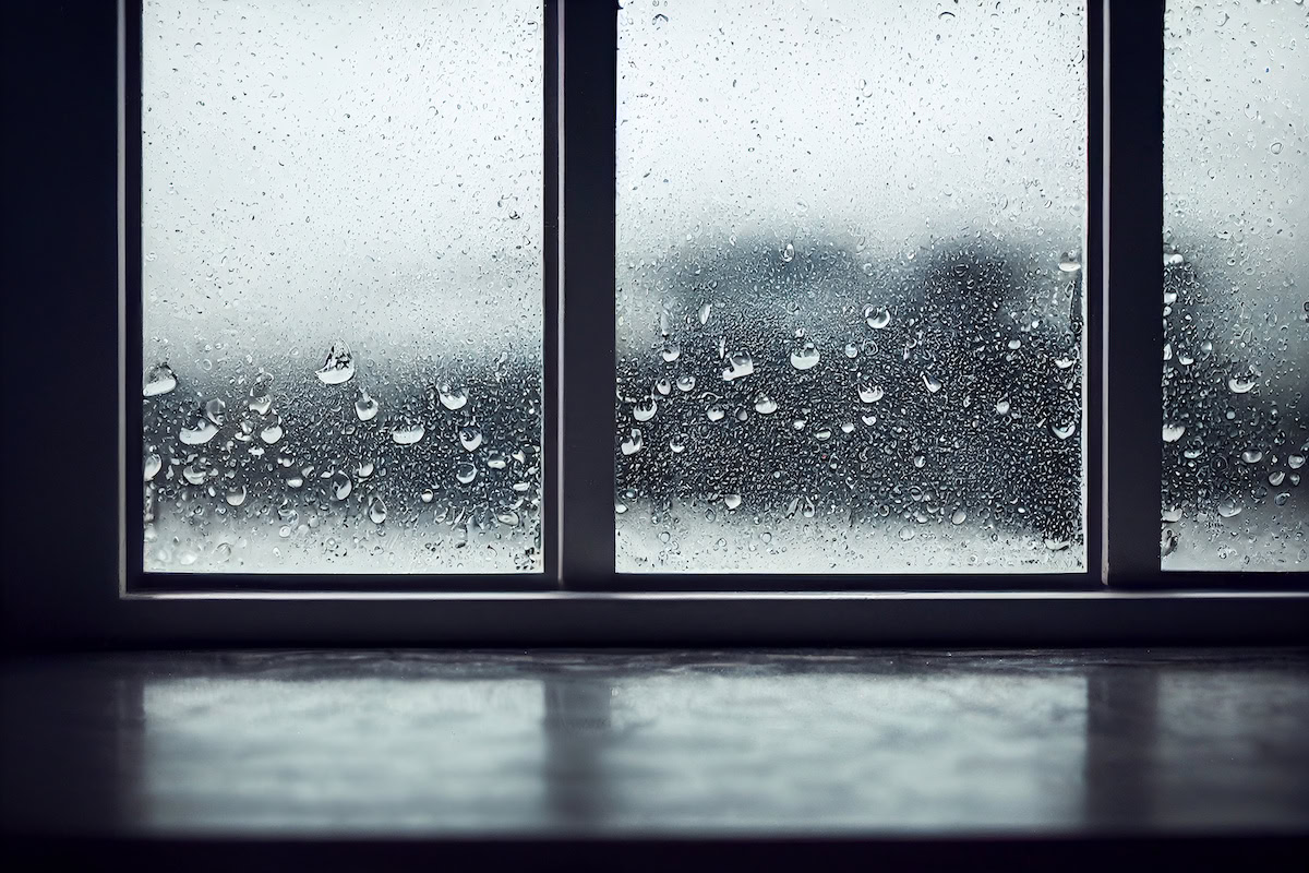 hurricane impact windows