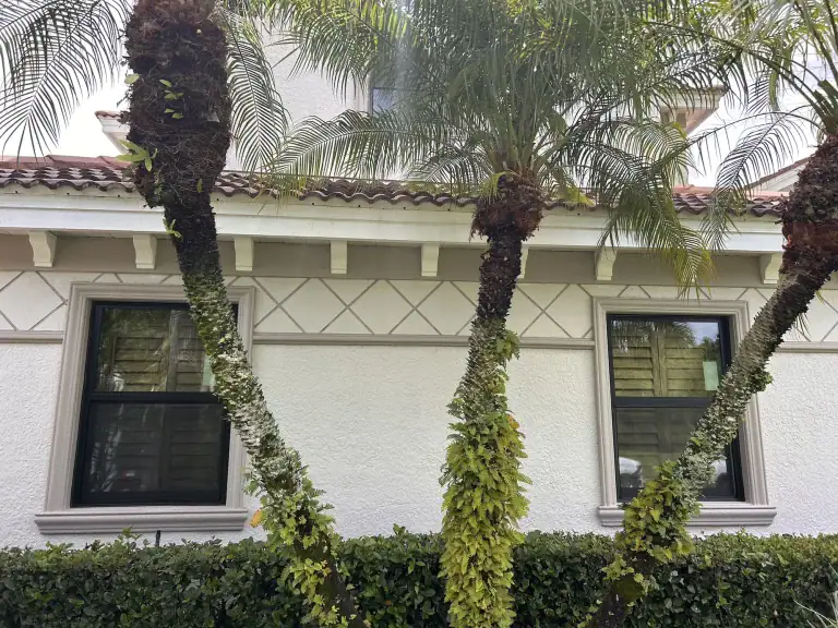 Hurricane impact windows on a beautiful Tampa Bay home exterior
