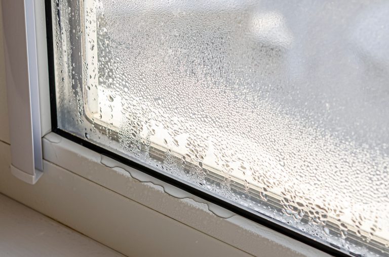 windows in florida