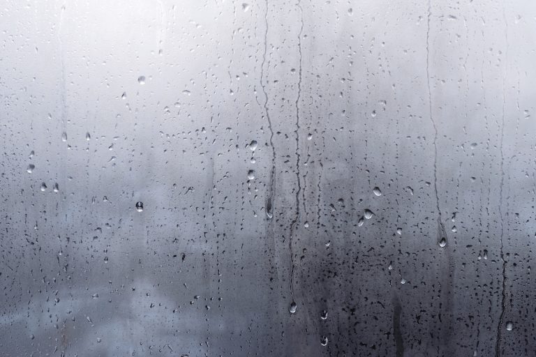 windows are sweating